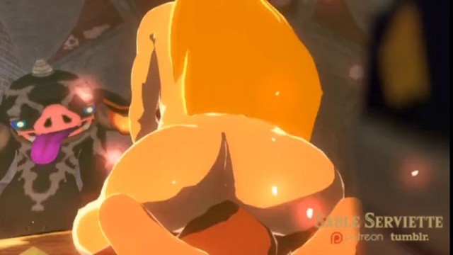 Zelda 3d hentai