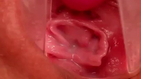 Close up inside pussy paradise