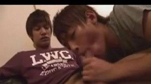Asian Forced To Suck Cock - Asian Japanese Gay Fuck Forced To Suck Cock, ecersico - Gay PeekVids