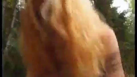 BLONDE FUCKING IN THE WOODS