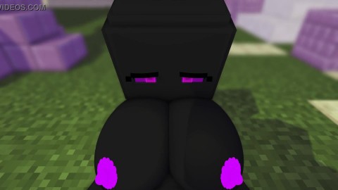 Minecraft Encounter with an enderwoman
