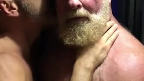 Hairy bears passionate kissing