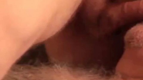 daddy bear sucking cock and cumming on his beard