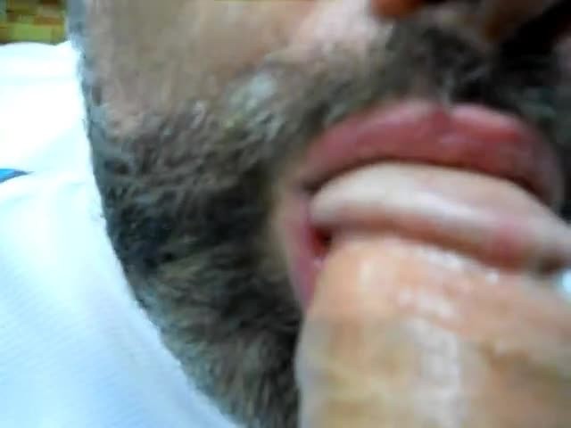 Daddy bear sucking cock