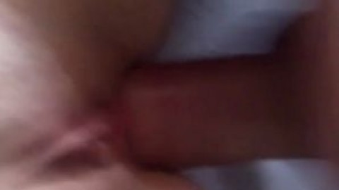 Free Homemade Anal Porn Videos