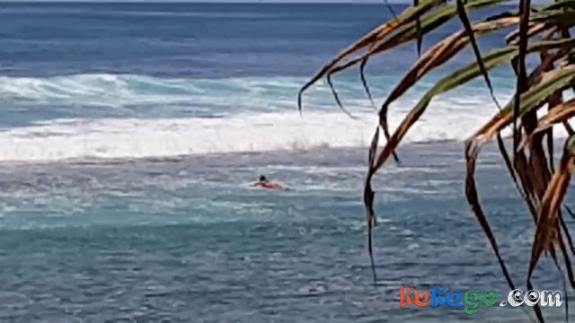 Pussy Show at Surfers Beach Butt Plug flashing in Hammock