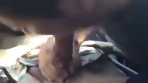 Car Blowjob With Cum