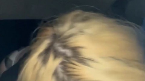 Cute whore sucks a cock in the backseat of a car then gets out to let the guy cum in her mouth and suck out every drop