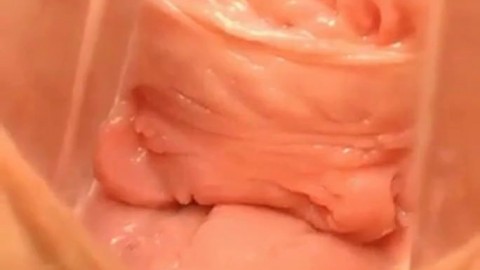 pussy close up and speculum