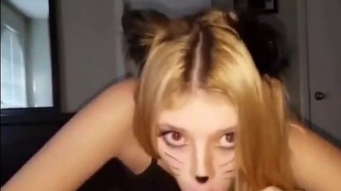 Kitty works for cum