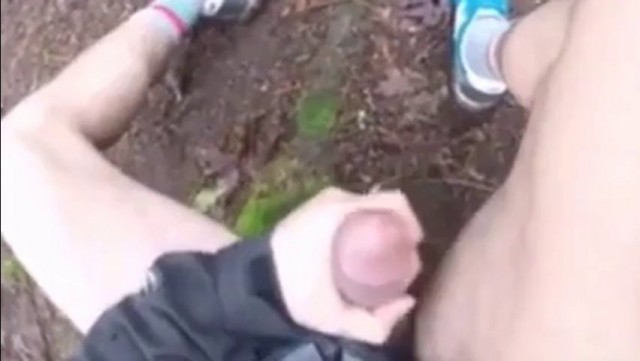 A walk in the wood with happy end