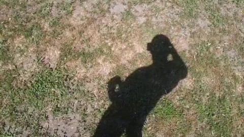 My shadow in the nature