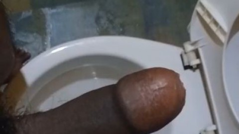 Toilet Masturbation