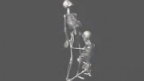 skeletons fucking and sucking