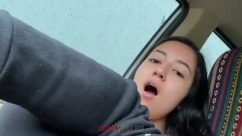 Latin bitche in car