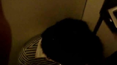 Asian BBW Amateur Facial in a Public Bathroom