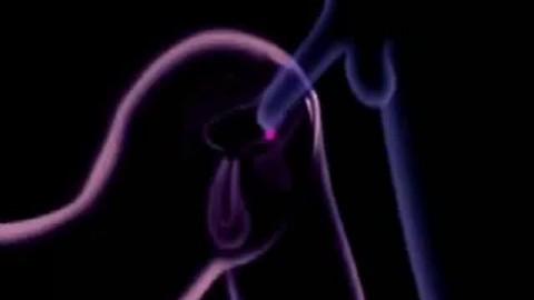 Close-Up Pussy Creampie on Webcam (Doggy Style)