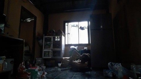 Viengkuk Morning Gay Porn Gif Pornhub com