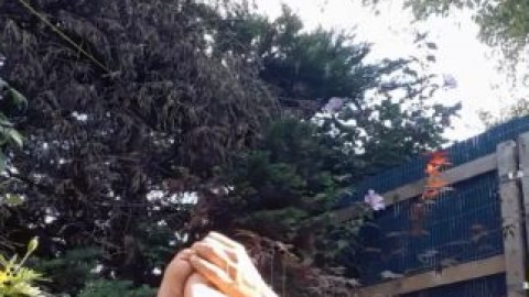 toejober's Photos(22)