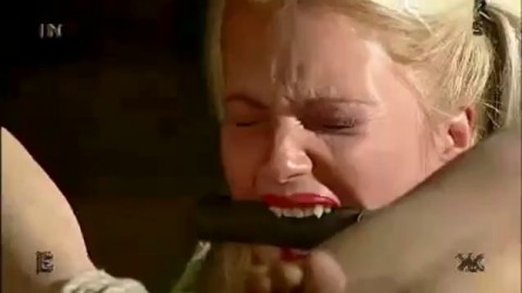 dairy angelica piglet kitty free porn videos