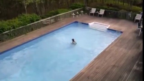 lana seymour moretti feet watch all porn