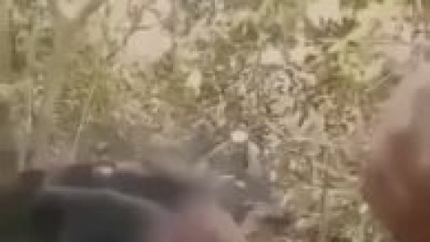 adele exarchopoulos watch free live porno