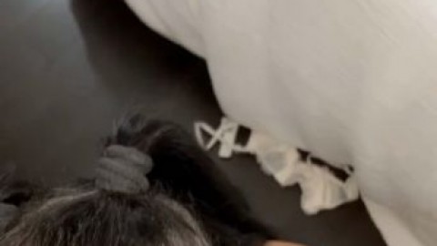 sophie vanmeter nude blowjob facial porj