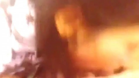 Thai Teacher and Student: Amateur Asian Couple