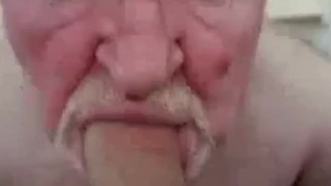 Amateur Daddy Bear Sucks Cock