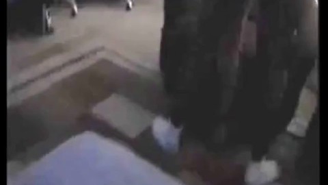 Black Bull Creampies Slut Girl