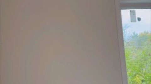 cecilia rose dildo sucking savaschultz leaked