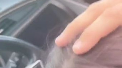 urfavbellabby car sex cumshot ticktalk