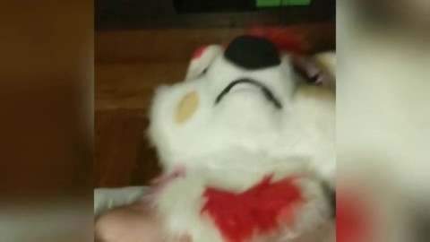 fursuit blowjob izzy green nudes