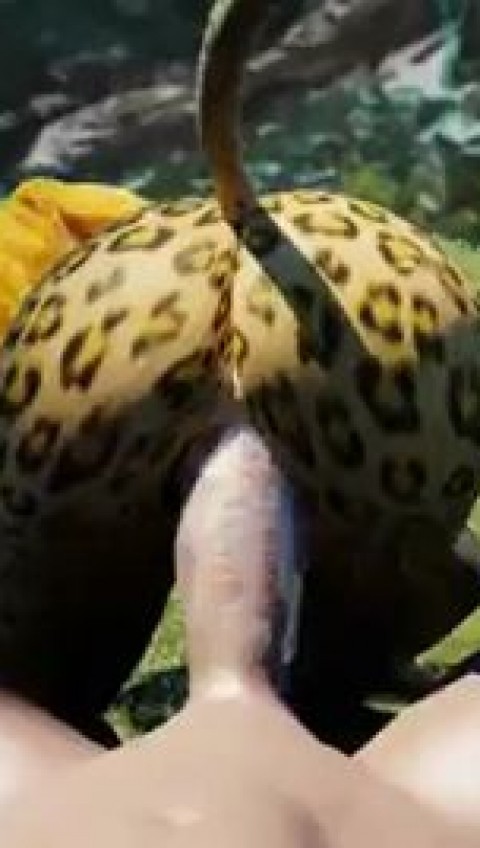 Jungle Heat 3D Furry Hentai porn
