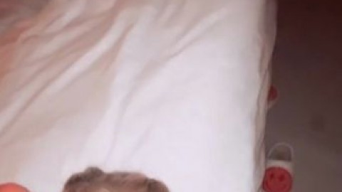 therealbrittfit cabin blowjob facial free gay sex videos