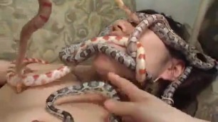 Japanese Fucked big thick hard cock by SNAKES Bestiality
